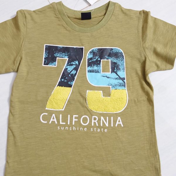Boys T-shirt with print