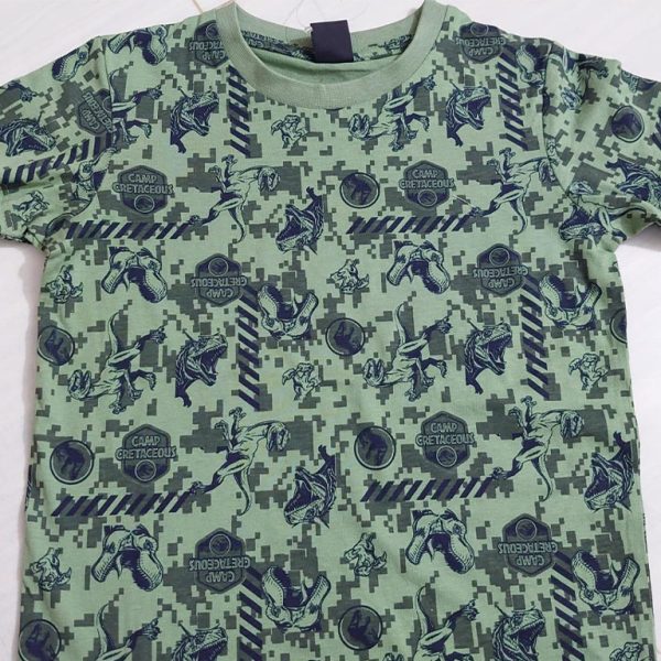 Boys T-shirt with print