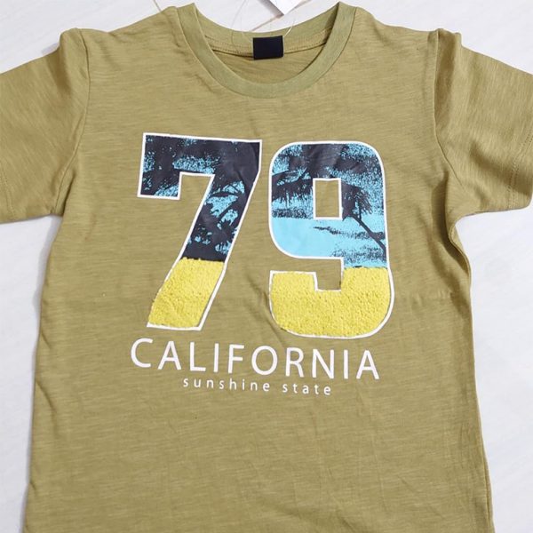 Boys T-shirt with print